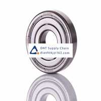 Bearings-seals SKF_6302-Z