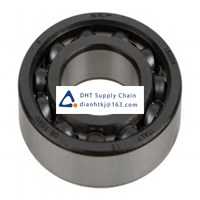 Bearings-seals SKF_16004