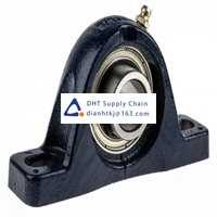 Bearings-seals NSK-RHP_SL20