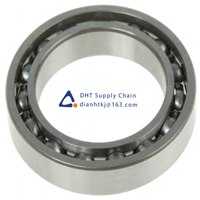 Bearings-seals SKF_61805