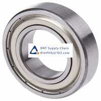 Bearings-seals NSK_6005ZZ