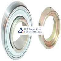 Bearings-seals INA_GRAE60-XL-NPP-B