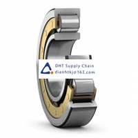 Bearings-seals SKF_NU 1028 M/C3