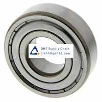 Bearings-seals SKF_6300-2Z/C3