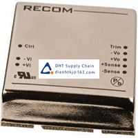 Voltage converter_Recom_RP60-4812SG