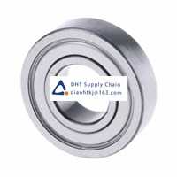 Bearings-seals NSK_6300ZZC3