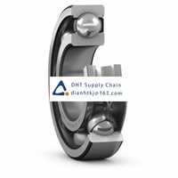 Bearings-seals SKF_6005-Z