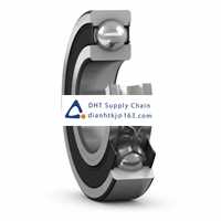 Bearings-seals SKF_6009-2RS1/C4