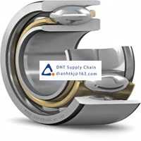 Bearings-seals SKF_63007-2RS1