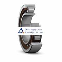 Bearings-seals SKF_NU 320 ECJ/C3