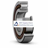 Bearings-seals SKF_NUP 203 ECP