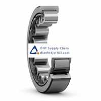 Bearings-seals SKF_RNU 203 TN9