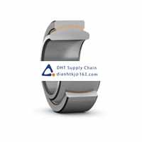 Bearings-seals SKF_GE 20 C