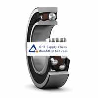 Bearings-seals SKF_2202 E-2RS1TN9/C3