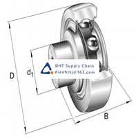 Bearings-seals INA_ZL206-DRS