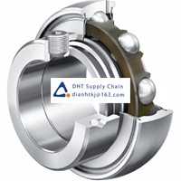 Bearings-seals INA_GRAE55-XL-NPP-B