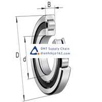 Bearings-seals FAG_NUP2206-E-XL-TVP2