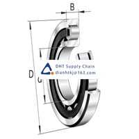 Bearings-seals FAG_NJ2203-E-XL-TVP2