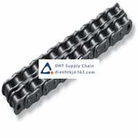 Mechanical transport transmission accessories Renold_SD06B2X5M