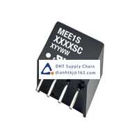 Voltage converter_Murata Power Solutions_MEE1S2405SC